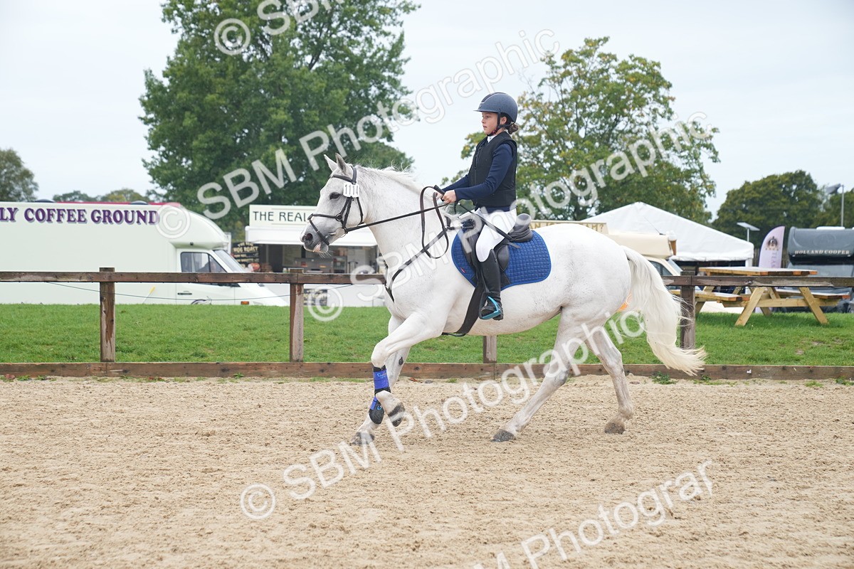 SBM_01814 - J54 - Clear Round 50cm