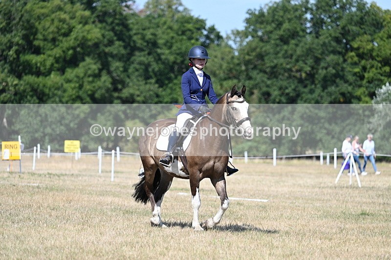 WJ7_0090 - Time 11:03 to 11:28