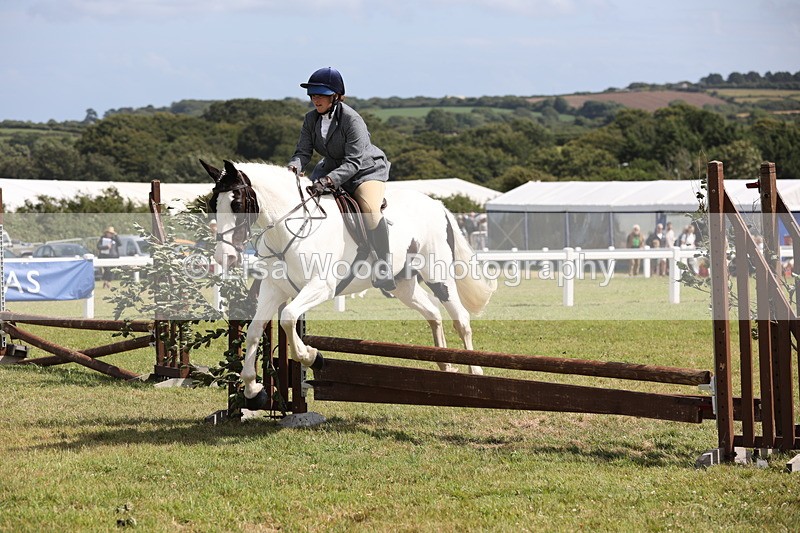 JPP_2203 - Class 19: Working Hunter 60cm