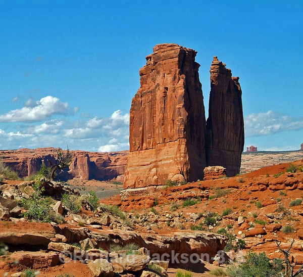 The Organ Towers - Arches National Park