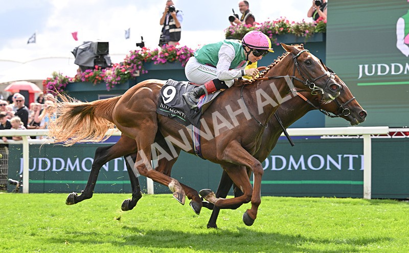 190826-130 Item - Race 4 15.35pm Juddmonte International Stakes