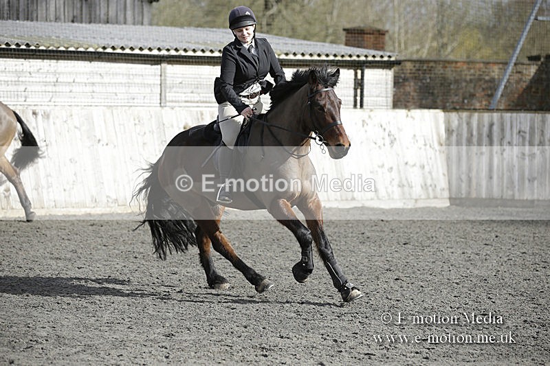 BVRC 050320 0090 - Bourne Valley riding Club Show Jumping Tidworth 08/03/20
