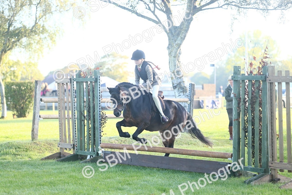 SBM_31921 - S28 - Nursery Stakes Working Hunter Pony