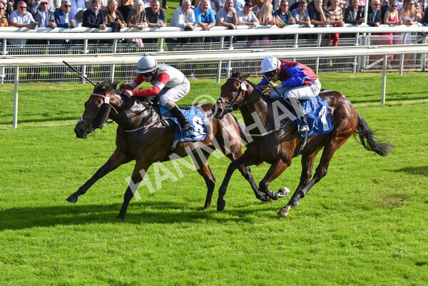 yr08102021r1-24 - Race 1 2.05pm Parsonage Hotel and Cloisters Spa Nursery Handicap