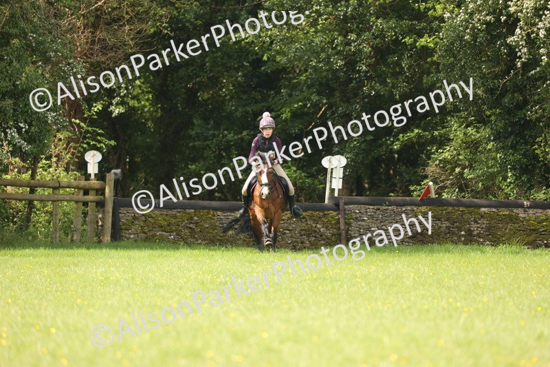 20260503-3396 - Camera 1