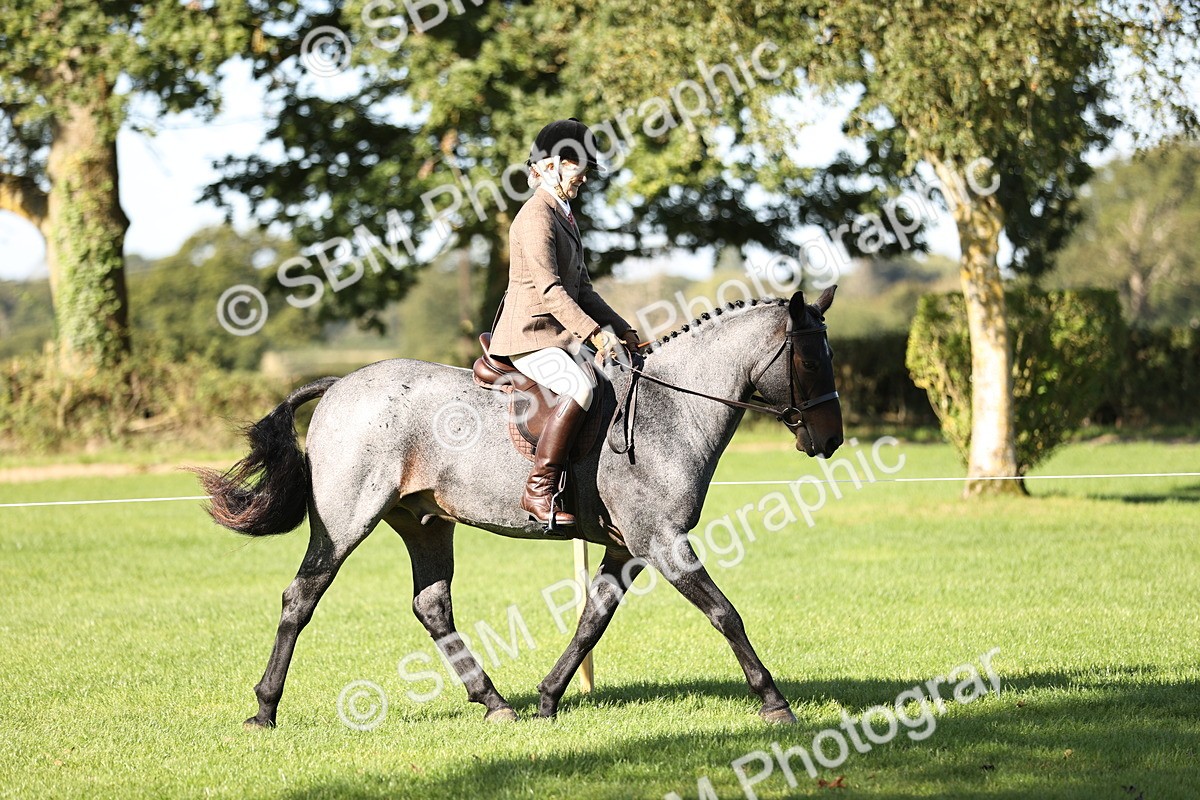 SBM_16905 - S2 - TSR Ridden Pony Showing