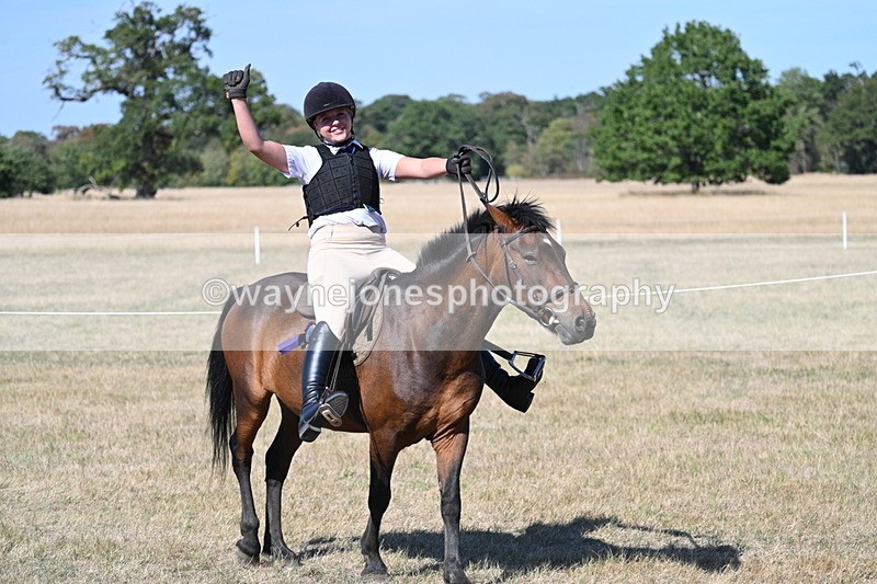 WJ7_1758 - Class 42 Most Handsome Gelding