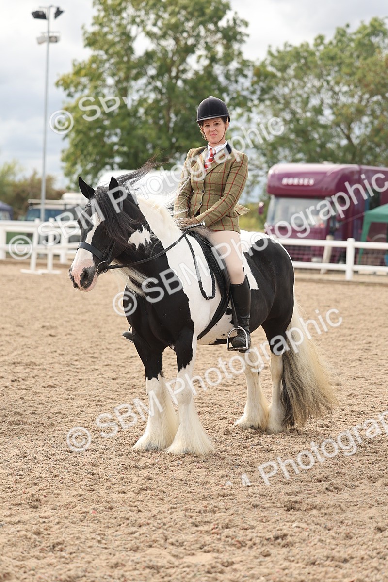 SBM_18033 - Class 314 - Family Horse Pony