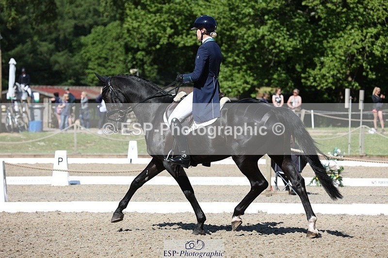 230526-100559-05178 - 358-EQUADOR_MW-Toots_Bartlett-WEDTrotUp+DR