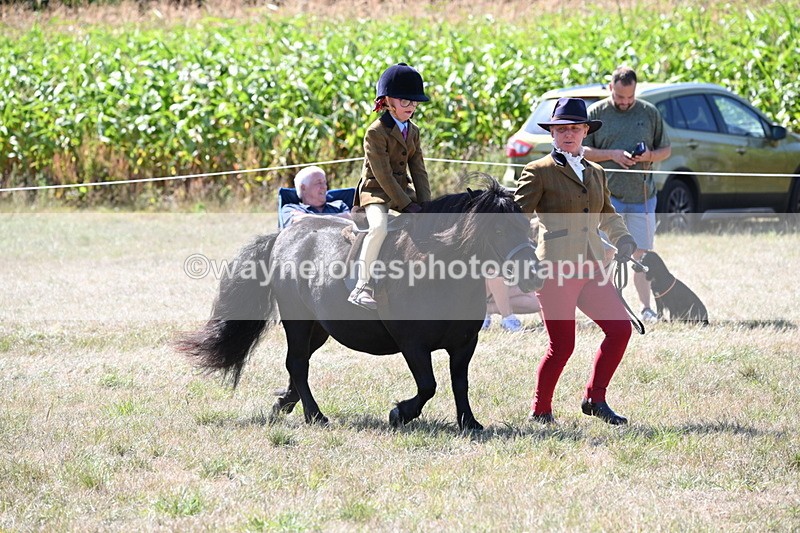 WJ6_8091 - Class 36 Lead Rein