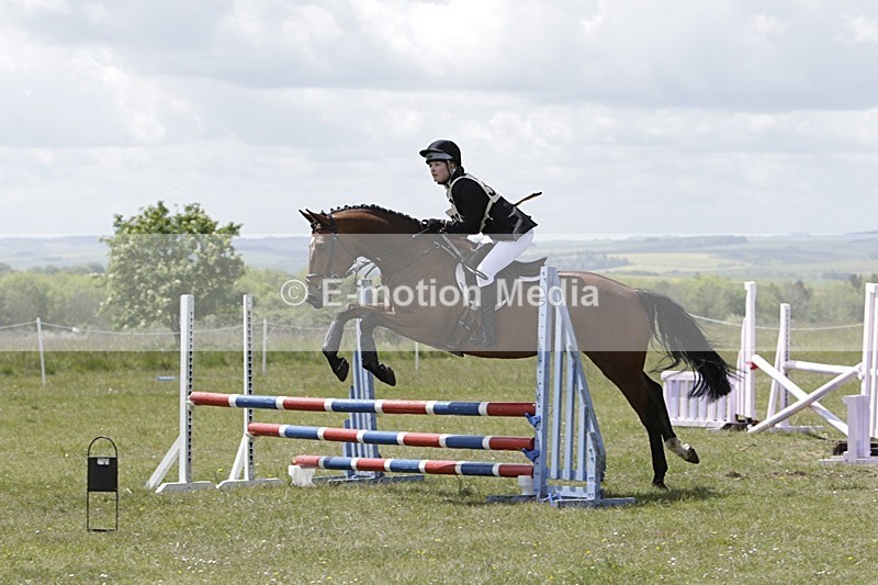BVHT 140517 N-289 - Class 2 SJ Novice 14/05/17