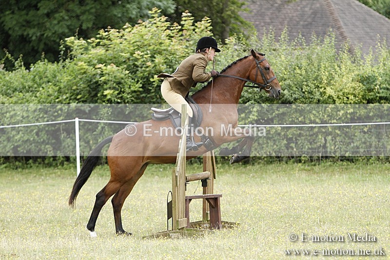 BVR160717-1675 - Ring 3 BVRC Show 16/07/17