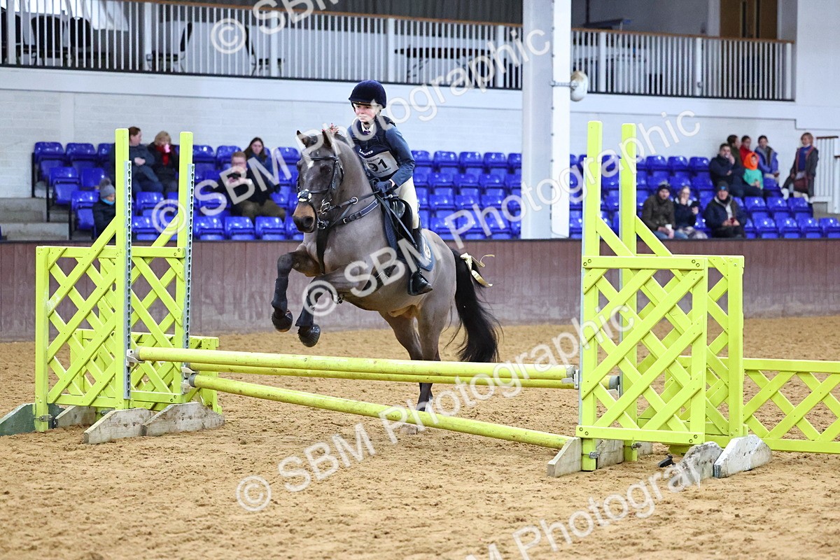 SBM_001275 - Class 3 - Christmas Tree Stakes - 60cm