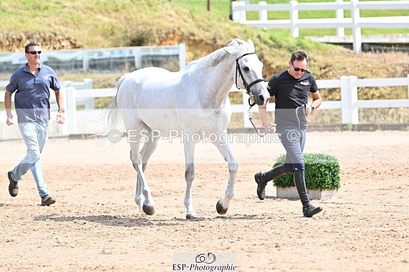 240717A-145408-02380 - Trot Up 2pm to 3pm - This folder is not in time order