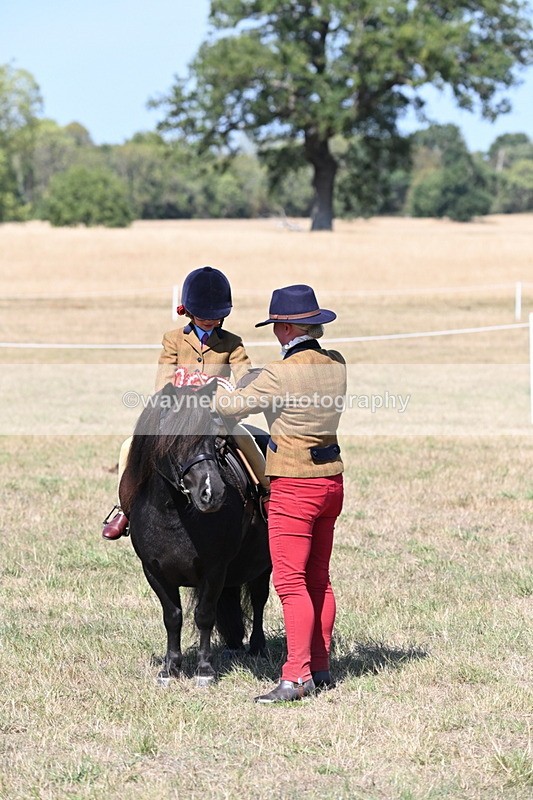 WJ6_9267 - Championship Classes 33-38