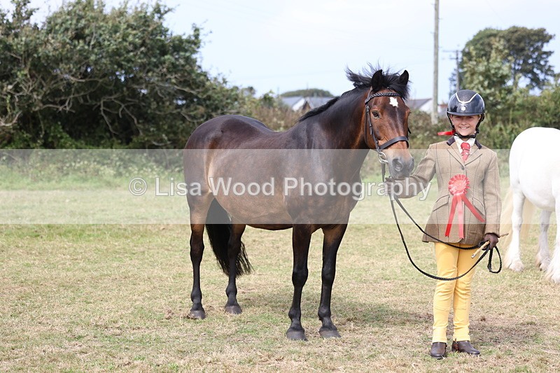 3E7A5305 - Class 18: Veteran in Hand
