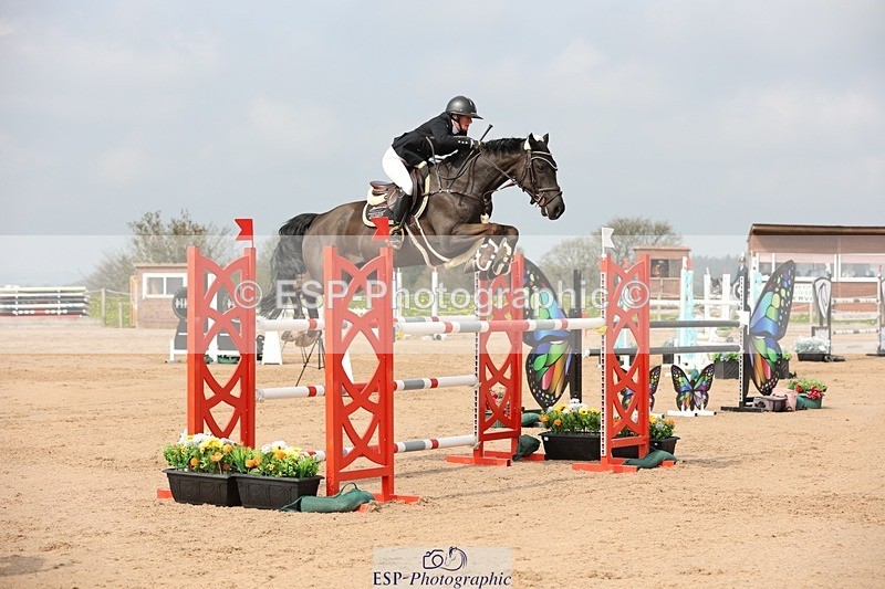 250424-104416-03194 - Cls 33 Young Horse 7yr old