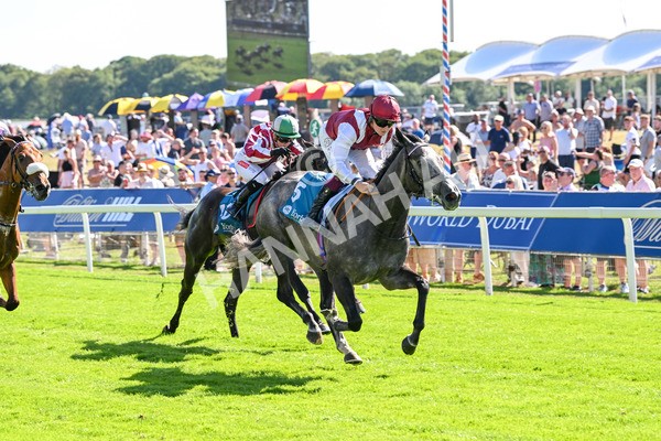 110725-Race 5-Mahras Love-4469 - Race 5 4.32pm Laura Barry Memorial Handicap