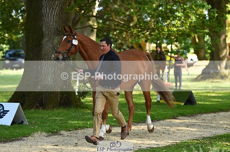 230524-164142-01027 - 111-CREEVAGHSTABLES_IFICUDIWUD-Tim_Cheffings-WEDTrotUp+DR