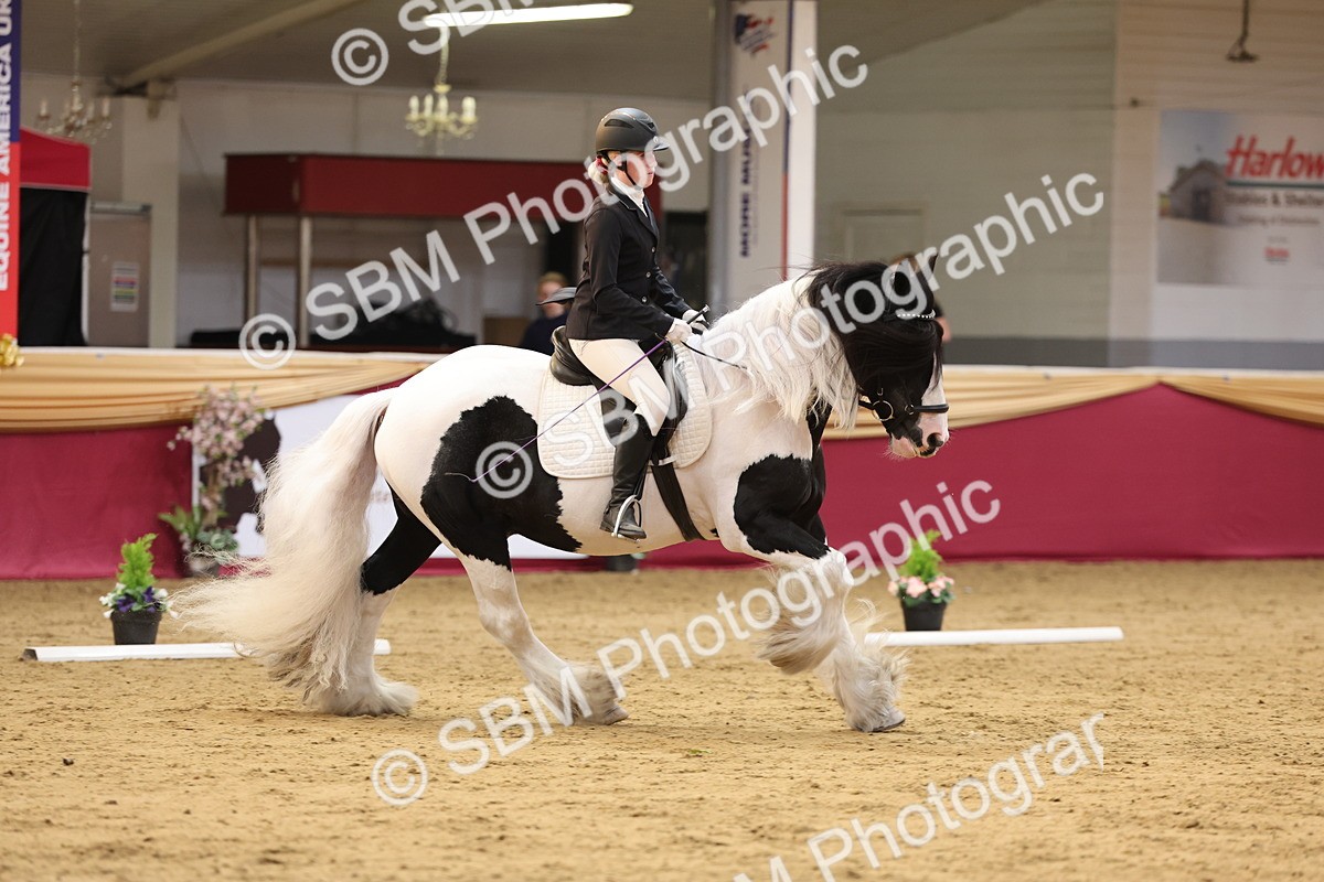 SBM_09334 - Class 51 - Dressage to music