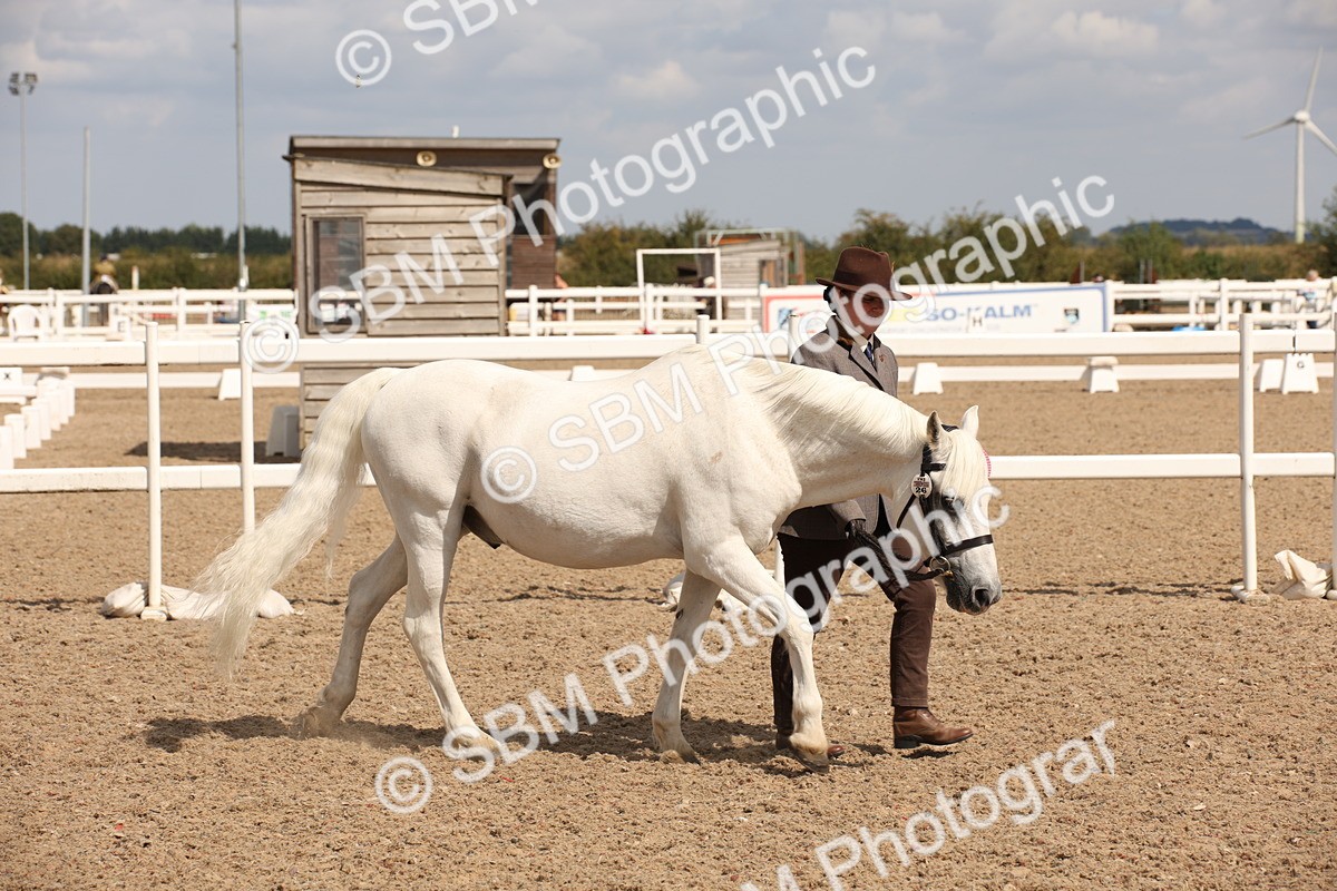 SBM_03804 - Class 19 Judge's Favourite
