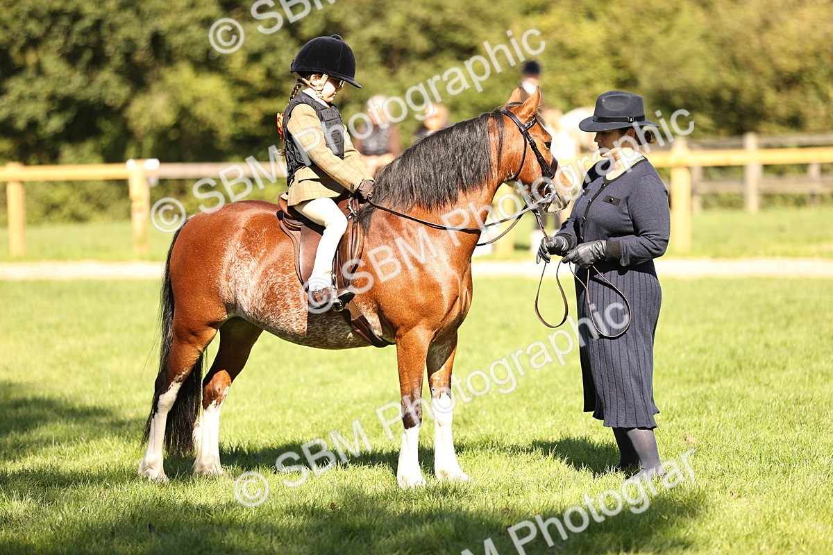 SBM_19238 - S3 - TSR Ridden Pony Showing
