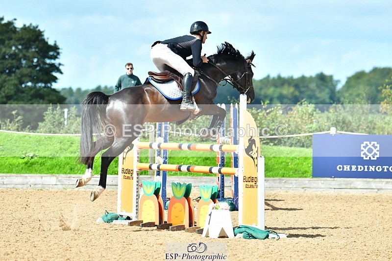 230811A-120409-04081 - Cls 20 Snr Fox