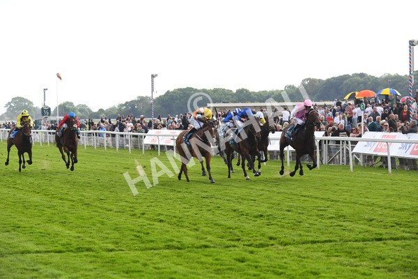 190523-Race 2-Sounds Of Heaven-0334 - Race 2 2.25pm Oaks Farm Stables Fillies' Stakes