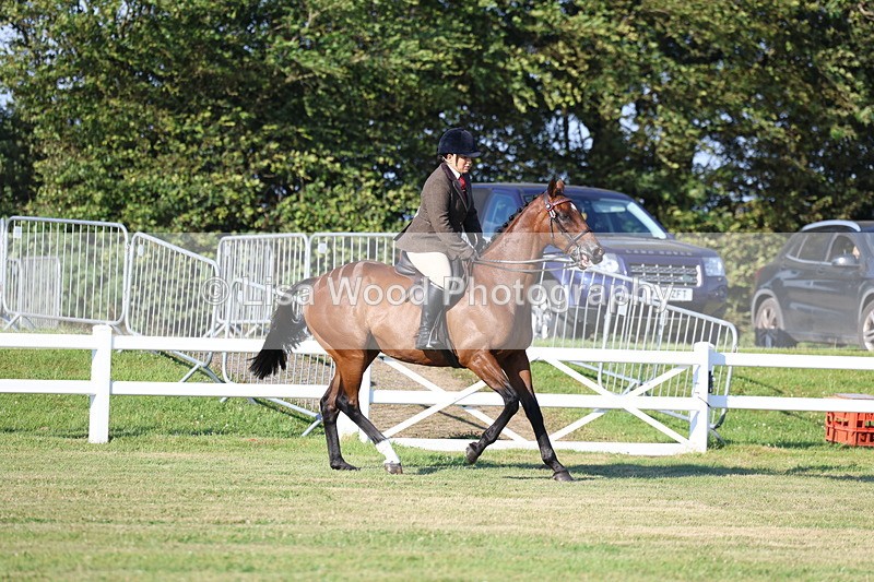 3E7A4933 - Class 1: Rising Star Small Hack/Riding Horses