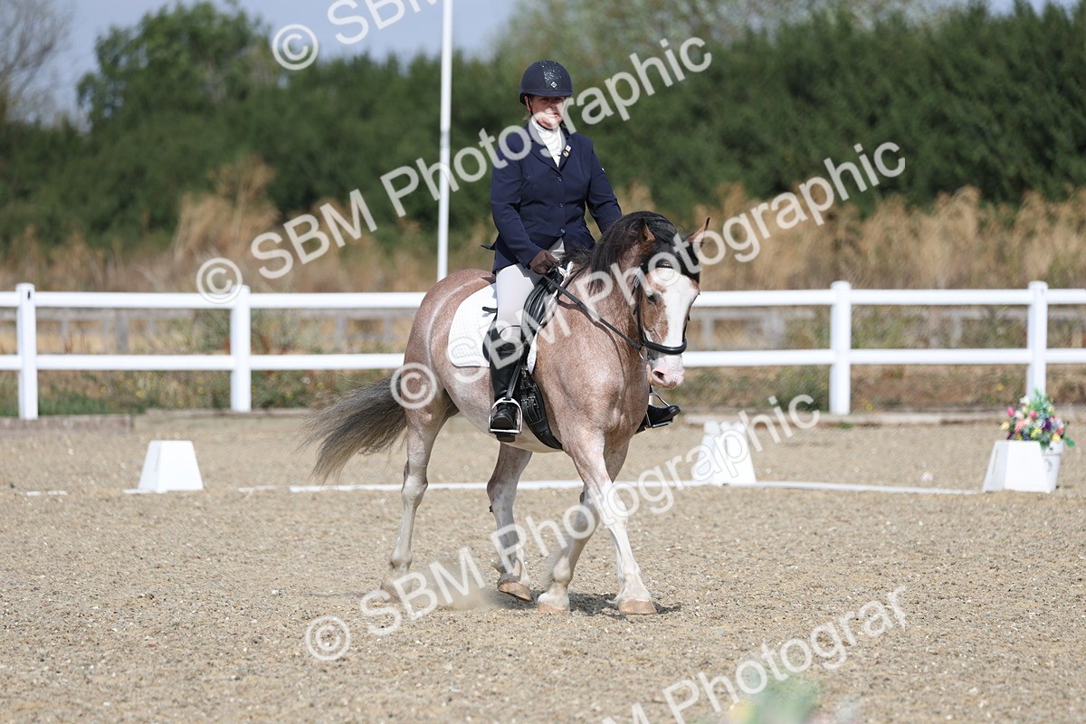 SBM_020909 - Class 21 - M5 Bronze 10.58.12.10