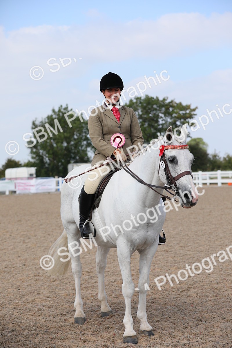 SBM_13539 - Class 308 Ridden Coloured Horse