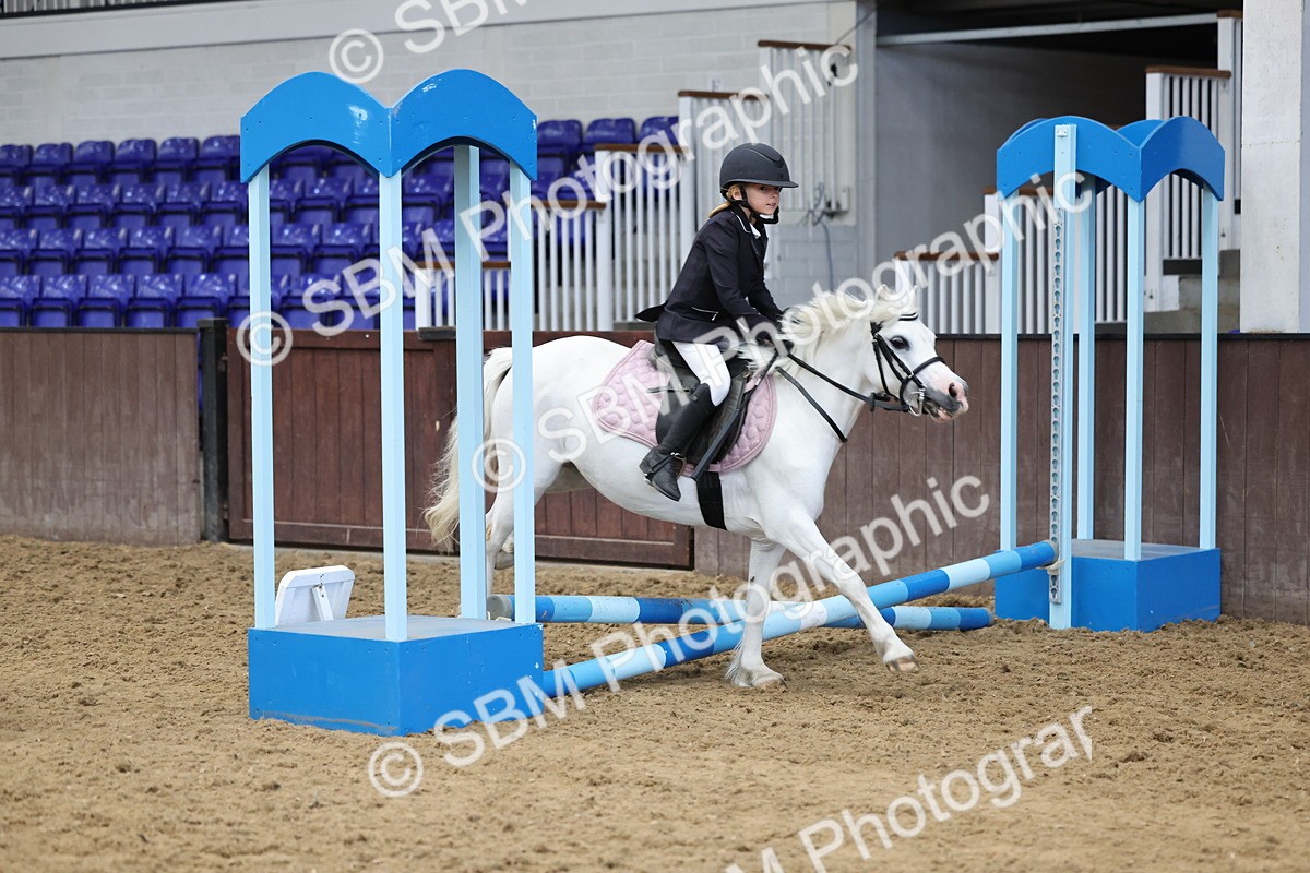 SBM_006960 - Class 1 - 40cm showjumping