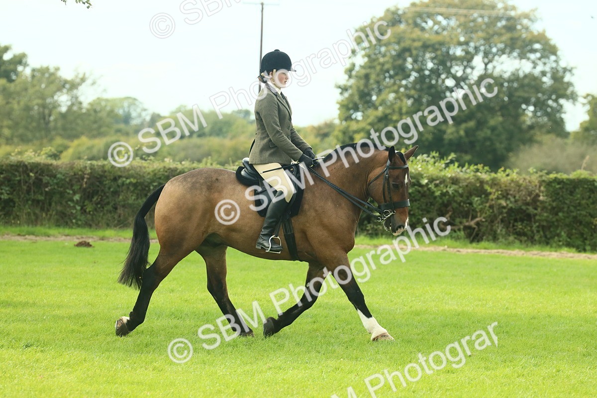 SBM_68208 - S58 - Mini Show Cob Ridden