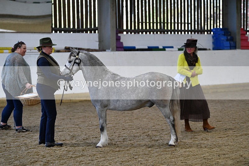 WJ5_3950 - Class 2 Best Condition In hand