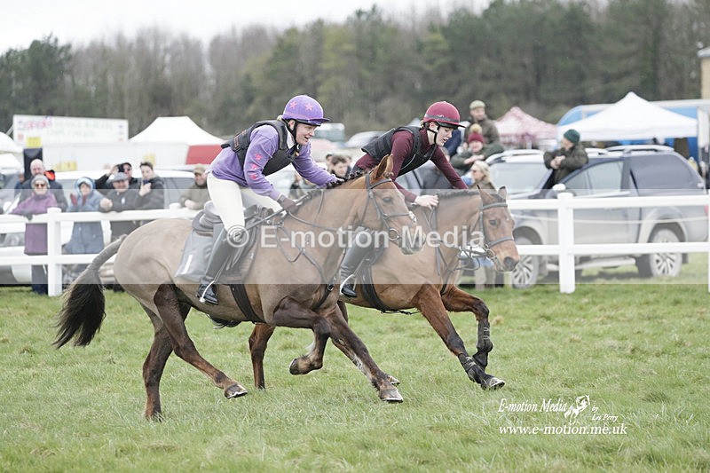 PtP 260323 0080 - New Forest Hounds Point-to-Point Larkhill 26/03/23