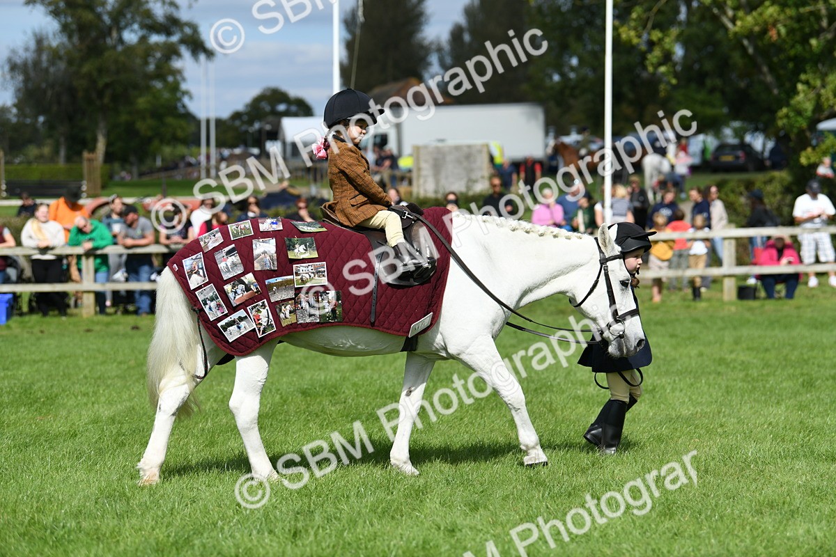 SBM_46785 - S12 - Family Horse & Pony