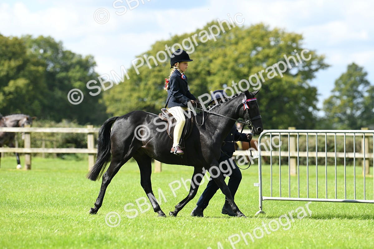 SBM_41148 - S19 - Lead Rein Show & Show Hunter Pony