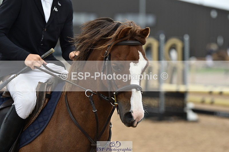 230902A-113936-00792 - Cls 2B Pony Small 80cm