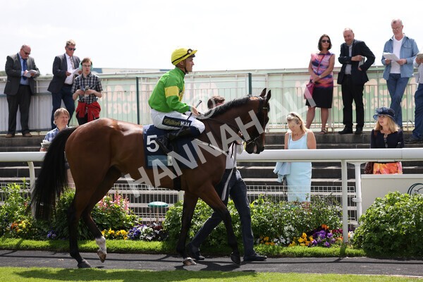 yr10062022r3-11 - Race 3 3.00pm British EBF supporting Racing with Pride Fillies' Handicap