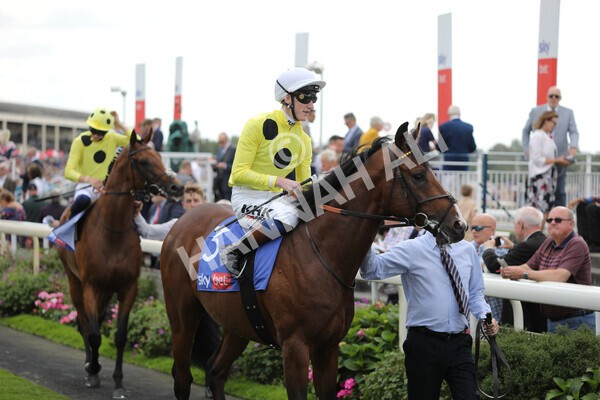 yr20082022r2-20 - Race 2 2.35pm Sky Bet Melrose Stakes