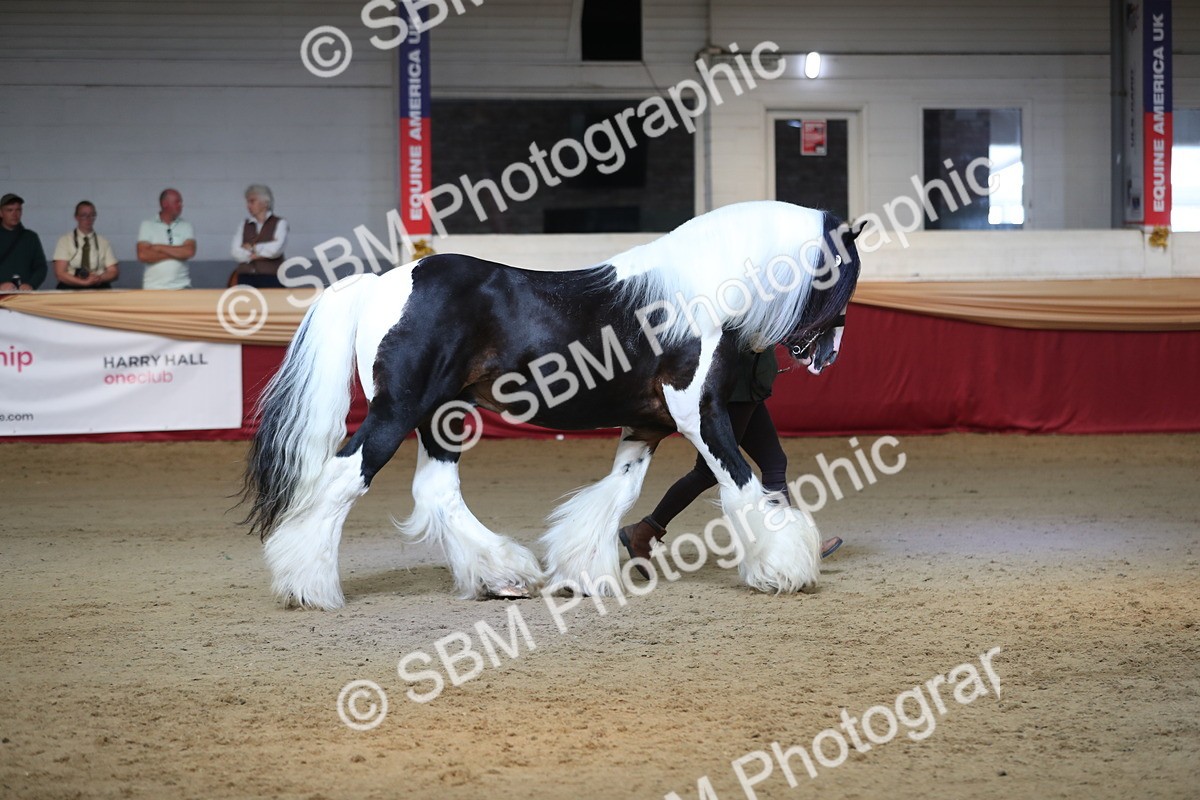 SBM_01370 - Class 3a Area IH Pre Vet