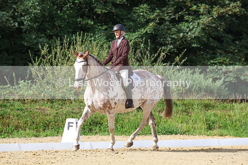 3E7A2395 - Class 1: Intro 4 2024 section A