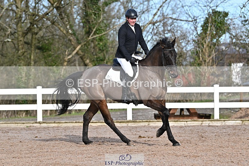 250125-120006-00379 - Dressage - CT Class 5 BE95 (90cm)