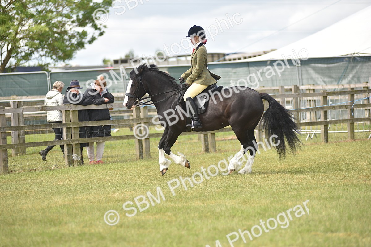 SBM_15840 - Class 115-116 - SSADL Home Produced Members Qualifier