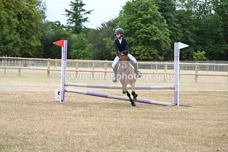 WJ6_0359 - Class 13 Novice Jumping 60cm