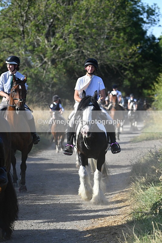 WJ5_4927 - Walk out with the hounds