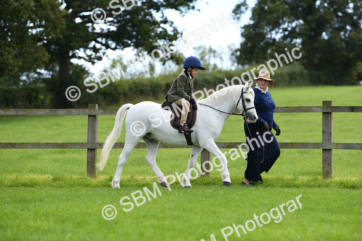 SBM_42463 - S20 - Lead Rein Mountain & Moorland Pony