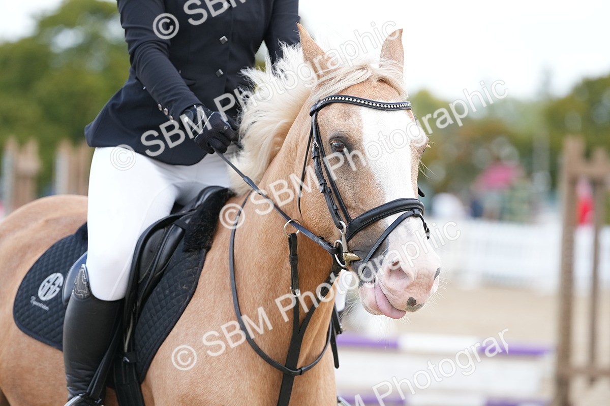 SBM_21072 - J49 - Open 50cm