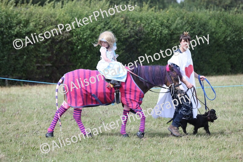 20250831-3584 - Class 26 - Fancy Dress
