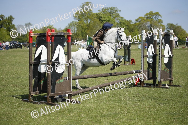 20250427-2208 - Class 13 - Novice Jumping 60cm